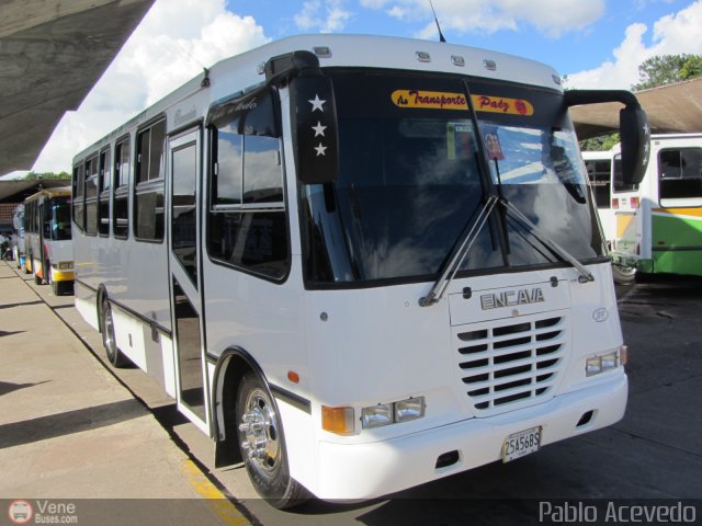 A.C. Transporte Paez 039 por Pablo Acevedo