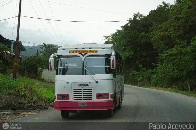 A.C. Transporte Paez 068 por Pablo Acevedo