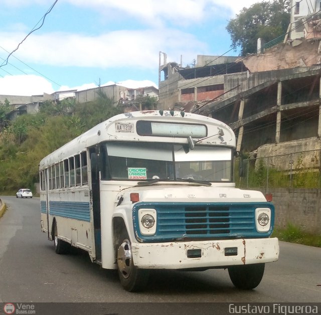 Particular o Desconocido Los Teques por Gustavo Figueroa