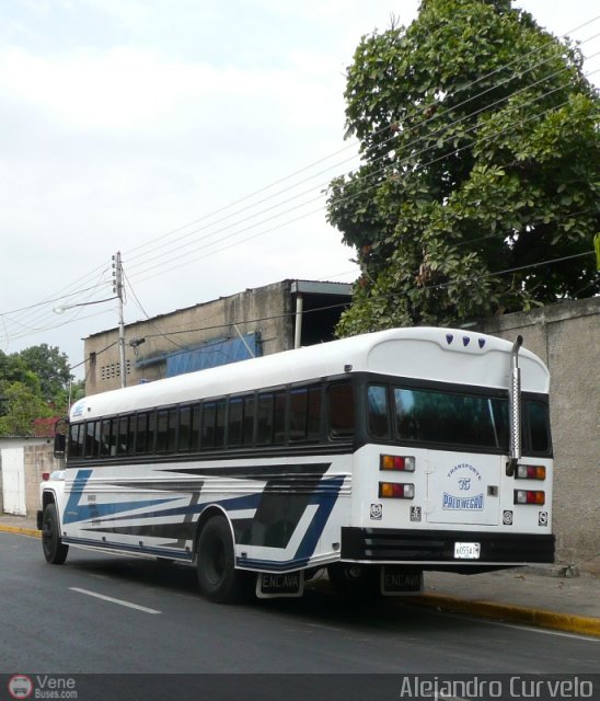 Transporte Colectivo Palo Negro 75 por Alejandro Curvelo