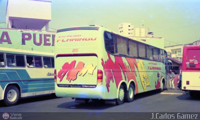 Expresos Flamingo 85 por Pablo Acevedo