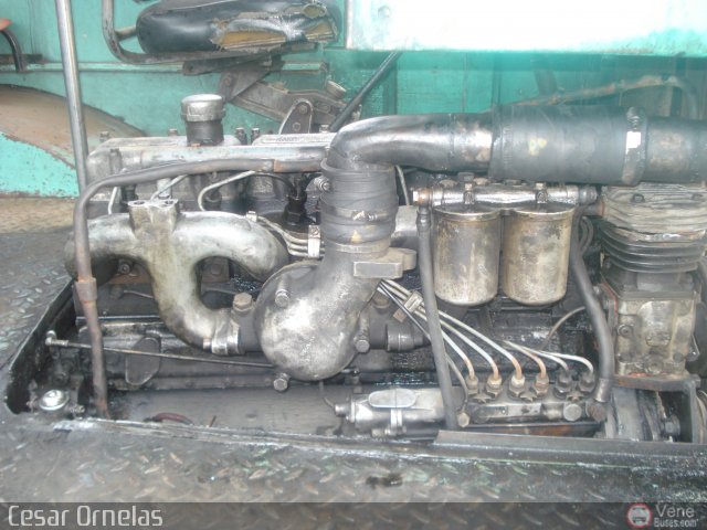 Particular NO USAR M�S Co008 por Cesar Ornelas