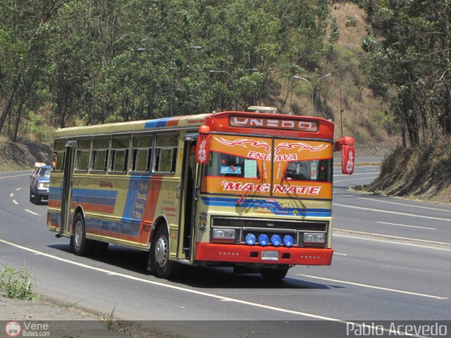 Transporte Unido 079 por Pablo Acevedo