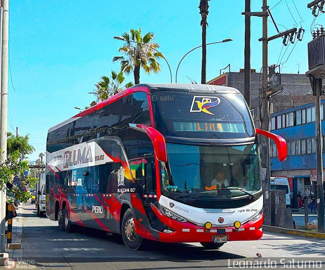 Grupo Laes 560 por Leonardo Saturno