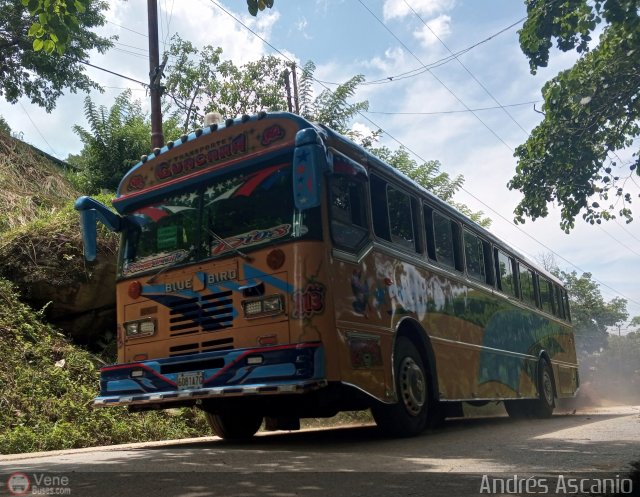 A.C. Transporte Democracia 10 por Andrs Ascanio