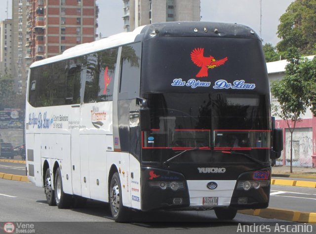 Los P�jaros de Lara 221 por Andr�s Ascanio