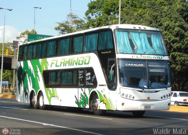 Expresos Flamingo 0053 por Waldir Mata