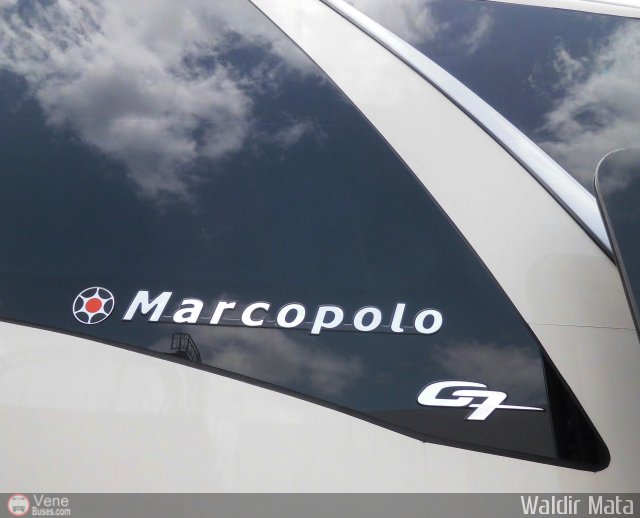 Detalles Acercamientos NO USAR M�S Minci 01 por Waldir Mata