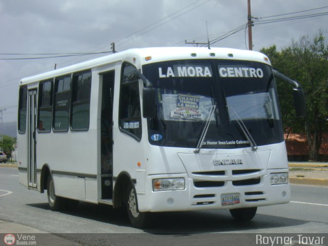 AR - Lnea Acotramora 17 por Royner Tovar