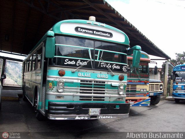 Expresos Continente C-36 por Alberto Bustamante