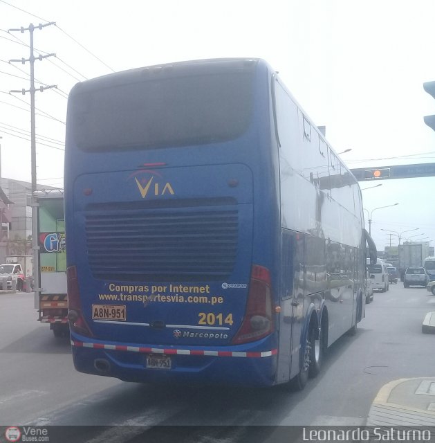 Particular o Desconocido 2014 por Leonardo Saturno