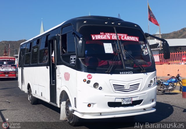 Transporte Virgen del Carmen 22 por Aly Baranauskas
