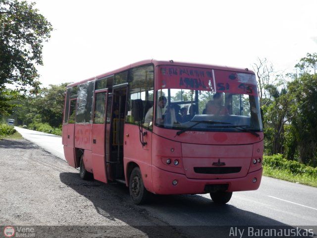 Sistema Integral de Transporte Superficial S.A 45 por Aly Baranauskas