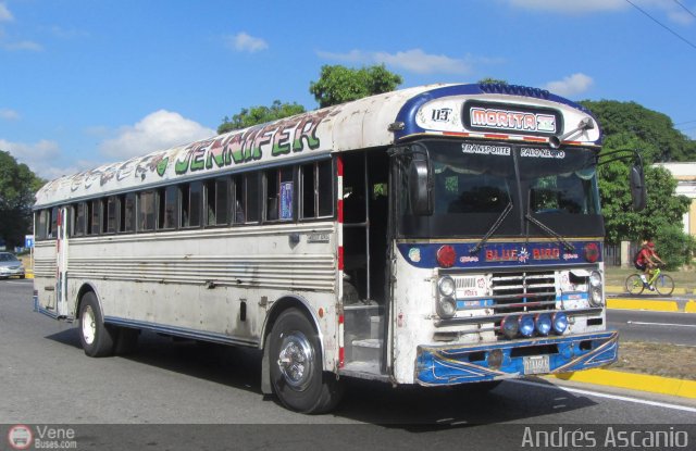 Transporte Palo Negro La Morita 2 113 por Andrs Ascanio