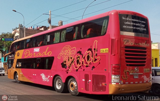 Turismo Pool Dorado 959 por Leonardo Saturno