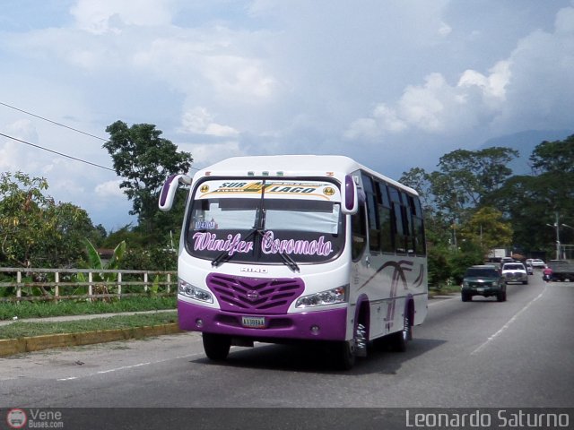 A.C. Sur del Lago R.L. 117 por Leonardo Saturno