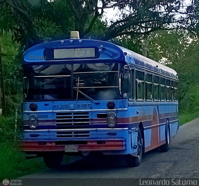 Transporte Interestadal Tica 02 por Leonardo Saturno