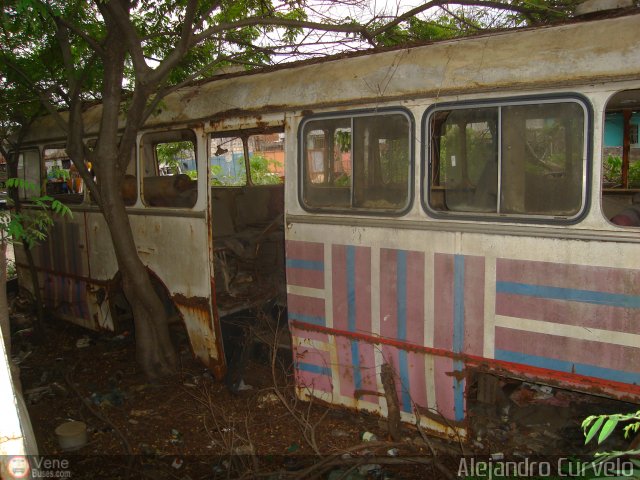 Instituto Municipal de Transporte Colectivo 0174 por Alejandro Curvelo