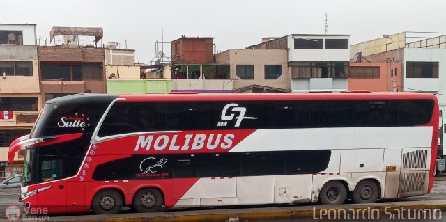 Transportes y Servicios Molibus 964 por Leonardo Saturno