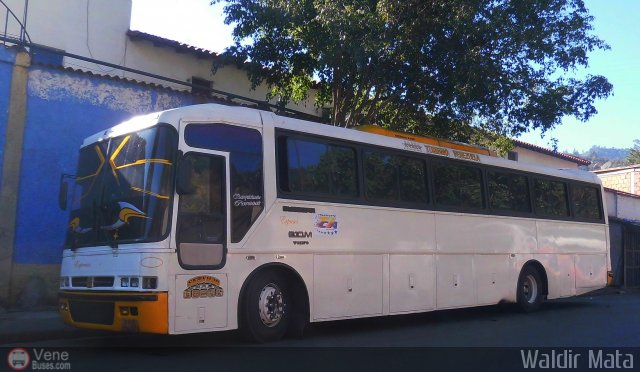 Transportes Integrales C.A. 0999 por Waldir Mata