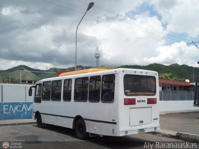 Particular NO USAR M�S 526 por Aly Baranauskas