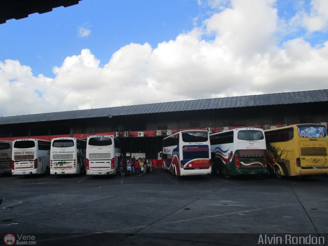 Garajes Paradas y Terminales Caracas por Alvin Rond�n