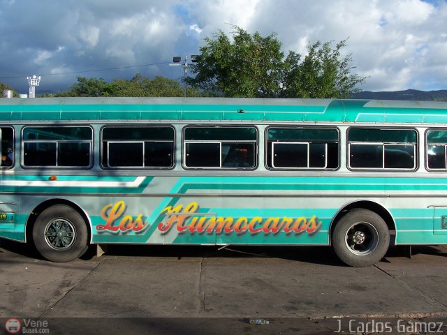 Expresos Continente C-36 por J. Carlos G�mez