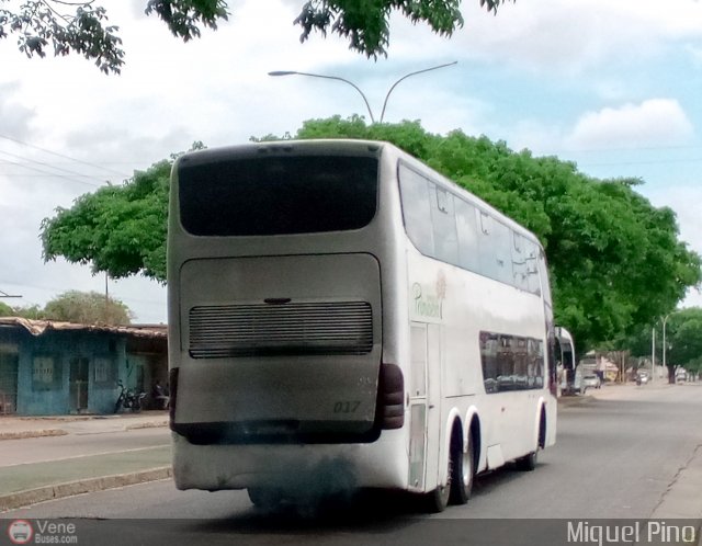 Expresos Primavera 017 por Miguel Pino