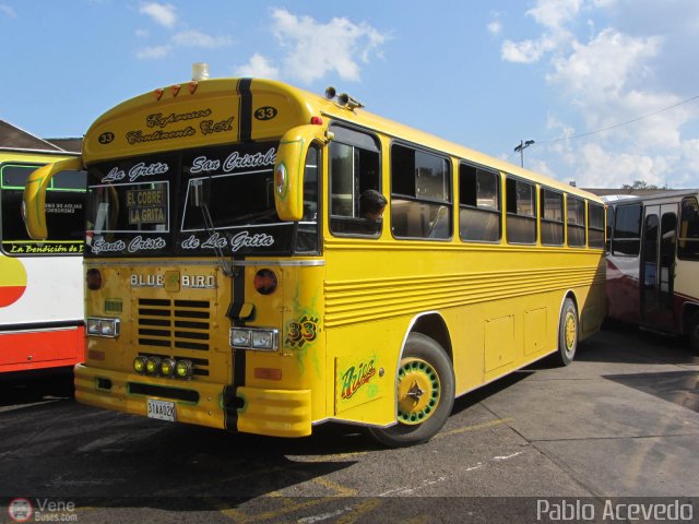 Expresos Continente C-33 por Pablo Acevedo