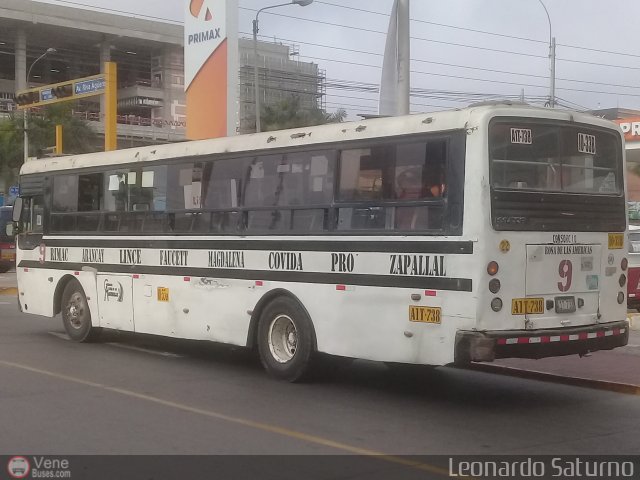 Consorcio Rosa de las Am�ricas 022 por Leonardo Saturno