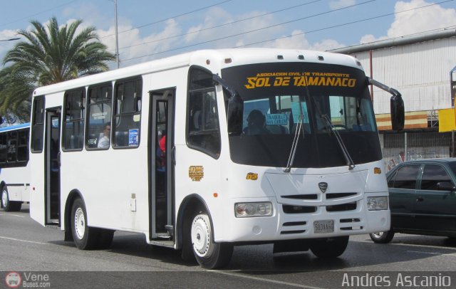 A.C. de Transporte Sol de Tamanaco 03 por Andrs Ascanio