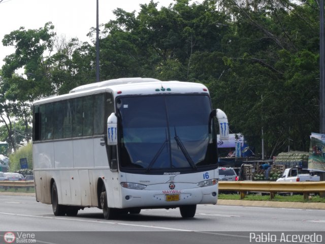 Particular o Desconocido 16 por Pablo Acevedo