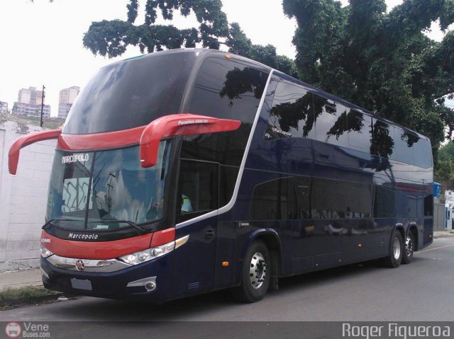 Tigres de Aragua B.B.C. 01 por Joseba Mendoza