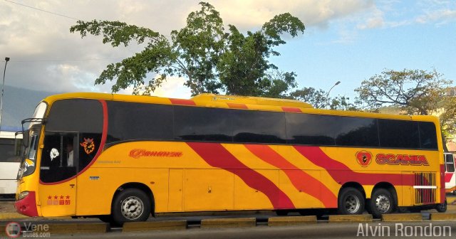Transporte Bonanza 0042 por Alvin Rond�n