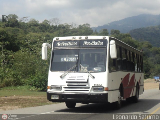 Colectivo Los Andes 05 por Leonardo Saturno