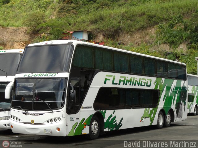 Expresos Flamingo 0063 por David Olivares Martinez