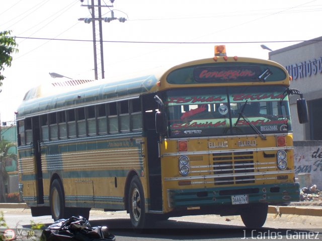 ZU - Colectivos Concepci�n 031 por J. Carlos G�mez