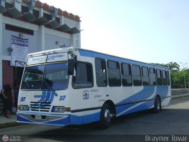 Transporte Taes 37 por Royner Tovar