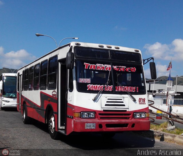 A.C. de Transporte Sol de Tamanaco 38 por Andrs Ascanio