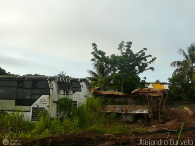 Gobernacin del Estado Monagas AC0003 por Alejandro Curvelo