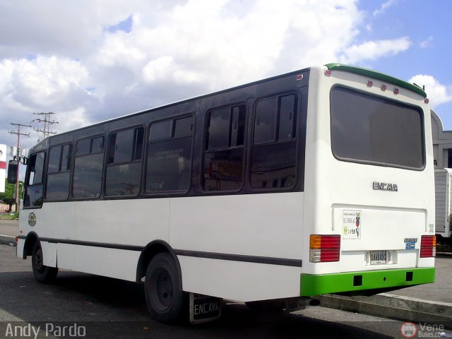 CA - Asociaci�n Coop. El Trigal R.L. 59 por Andy Pardo