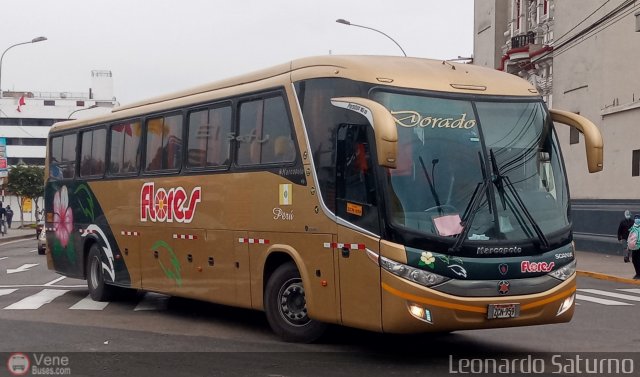Transporte Flores Hermanos S.R.L 959 por Leonardo Saturno