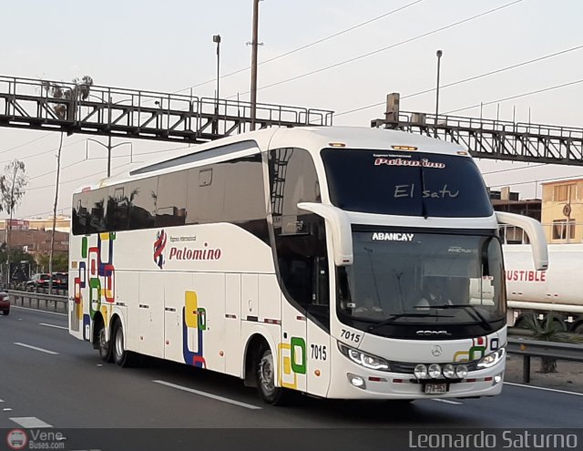 Expreso Internacional Palomino 7015 por Leonardo Saturno