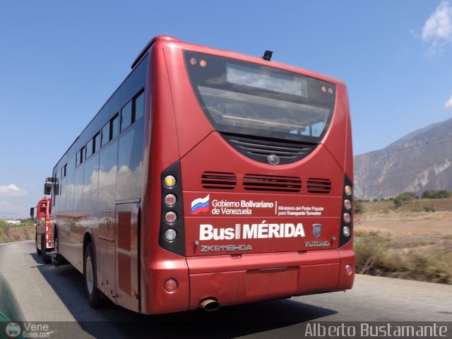 Bus Mérida 985 por Alberto Bustamante
