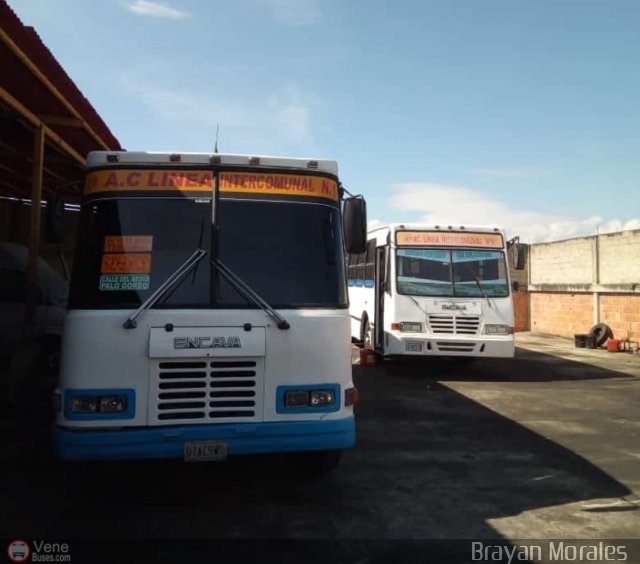 Garajes Paradas y Terminales San-Cristobal por Jerson Nova