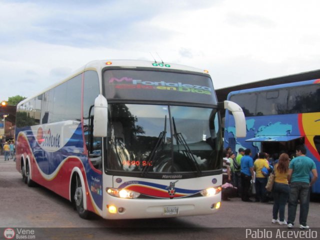 Expresos Occidente 225 por Pablo Acevedo