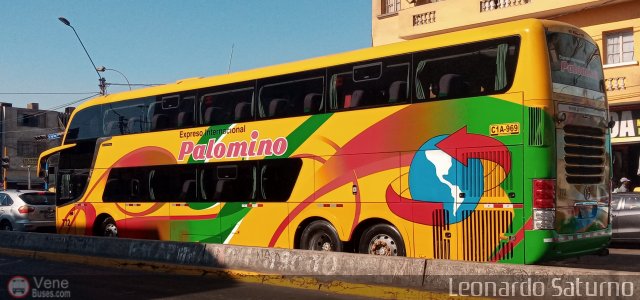 Expreso Internacional Palomino 772 por Leonardo Saturno