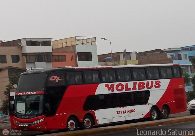 Transportes y Servicios Molibus 963 por Leonardo Saturno