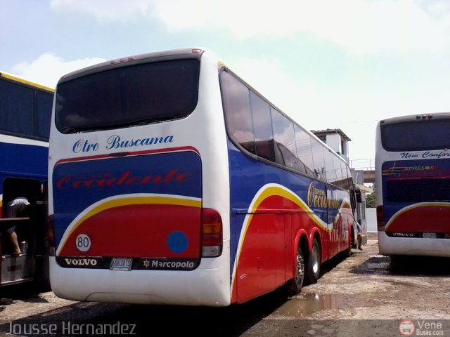 Expresos Occidente 342 por Jousse Hernandez