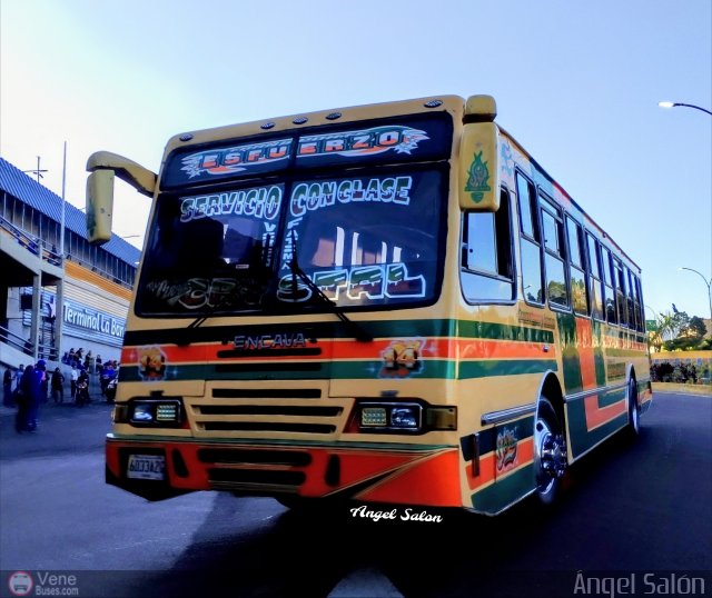 Transporte El Esfuerzo 14 por �ngel Sal�n